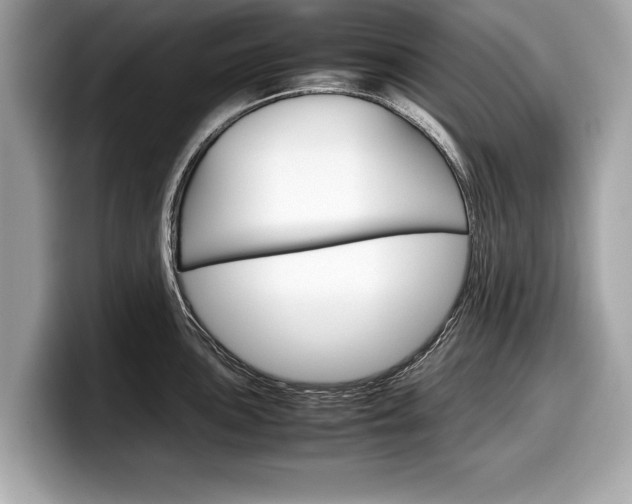 X0000099231051200804241225