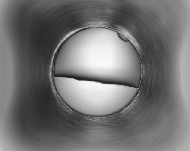 X0000099231052200804241225