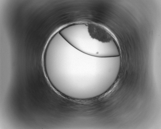 X0000099231053200804241225