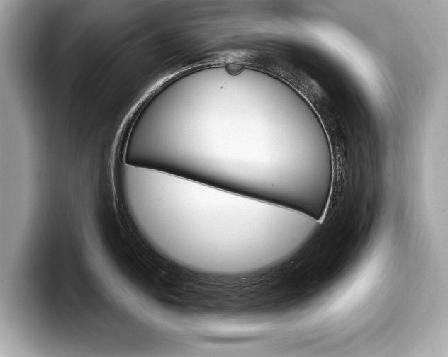 X0000099231054200804241225