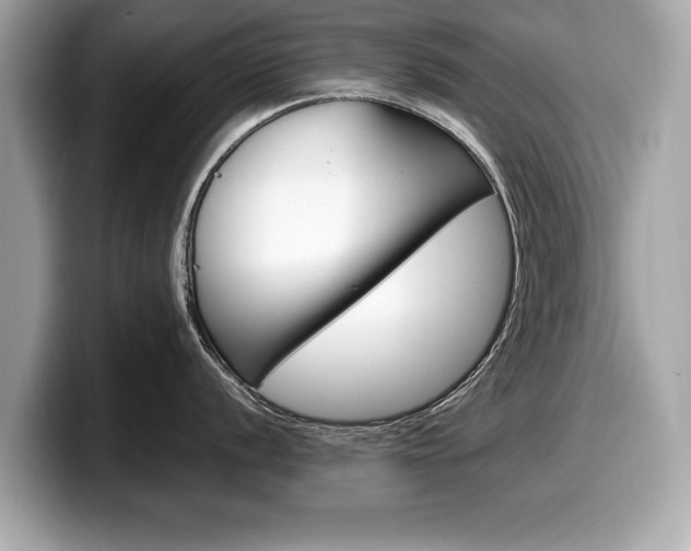 X0000099231056200804241225