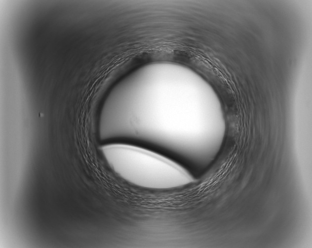 X0000099231057200804241224