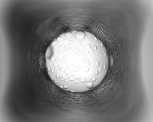 X0000099231059200804241224