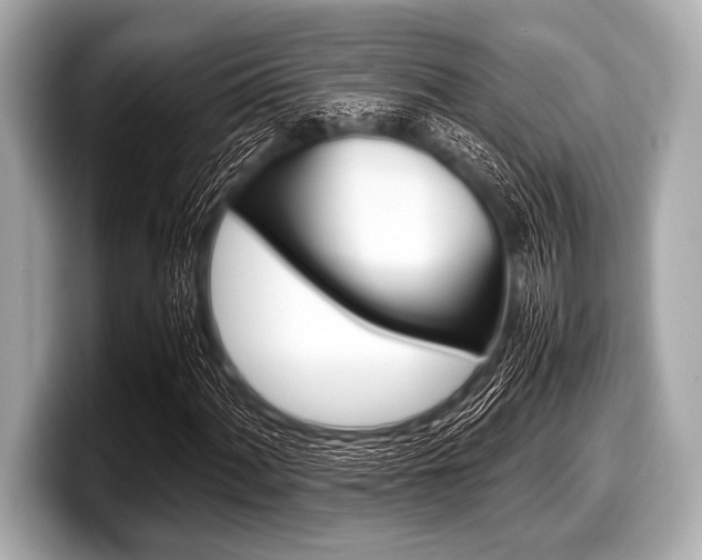 X0000099231060200804241224