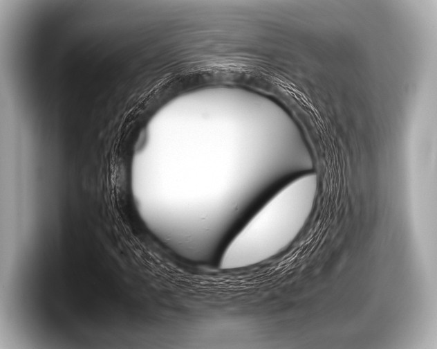 X0000099231061200804241224