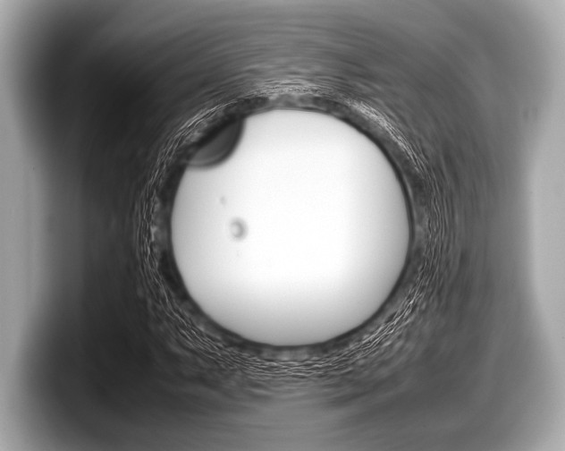 X0000099231063200804241224
