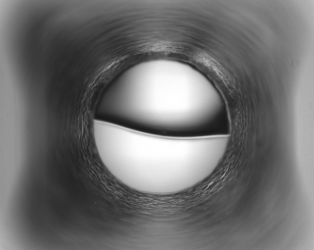 X0000099231064200804241224