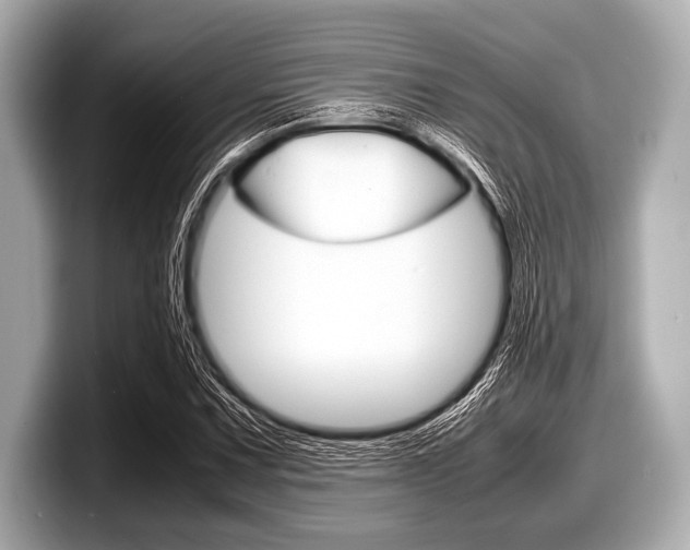 X0000099231067200804241224