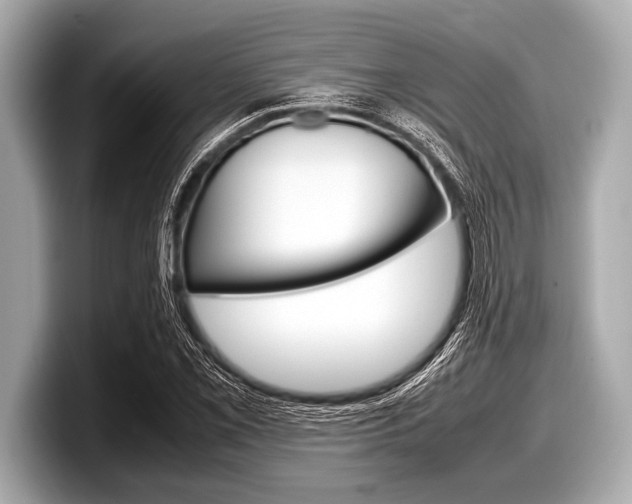 X0000099231069200804241224