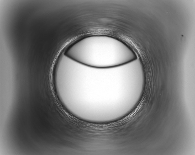 X0000099231071200804241224