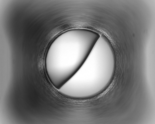 X0000099231073200804241224