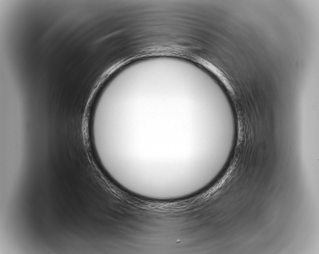 X0000099231074200804241224