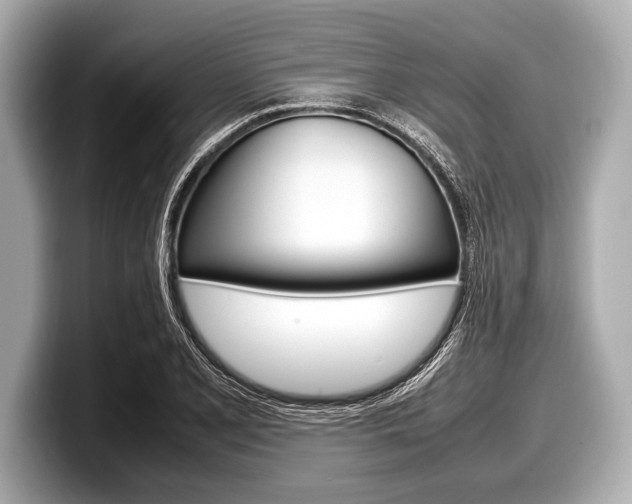 X0000099231077200804241224