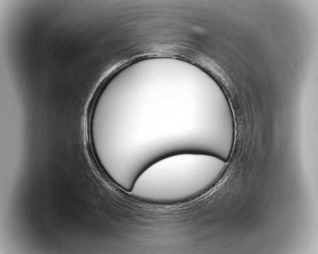 X0000099231079200804241224