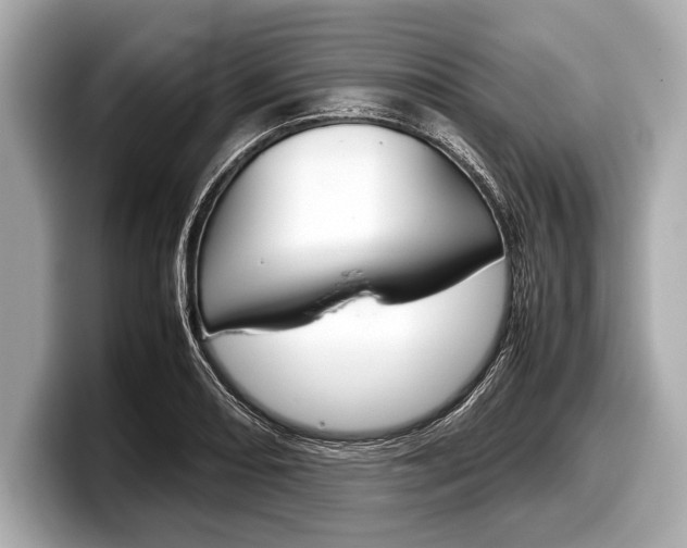 X0000099231082200804241224