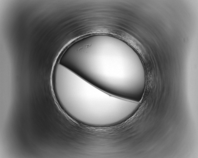 X0000099231084200804241224