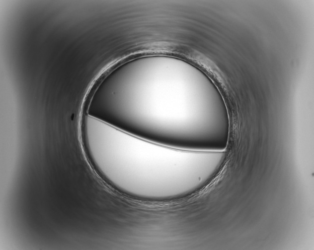 X0000099231085200804241224