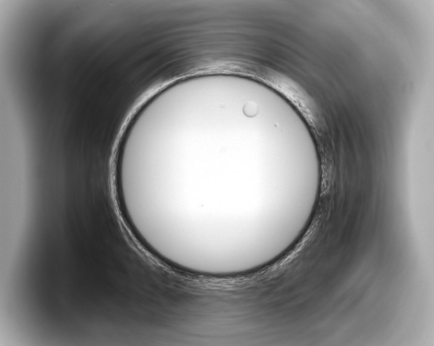 X0000099231086200804241224