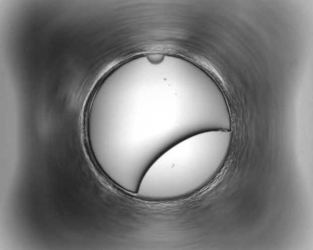 X0000099231087200804241224