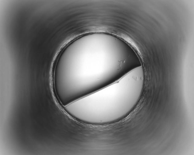 X0000099231088200804241224