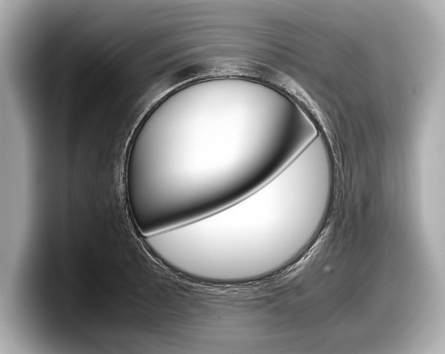 X0000099231089200804241224