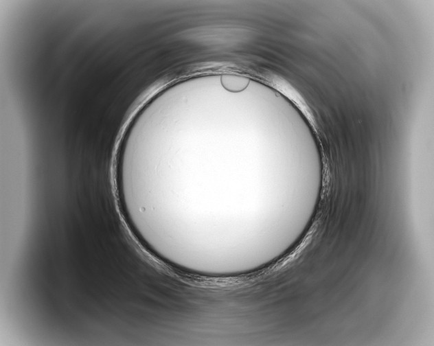 X0000099231090200804241224