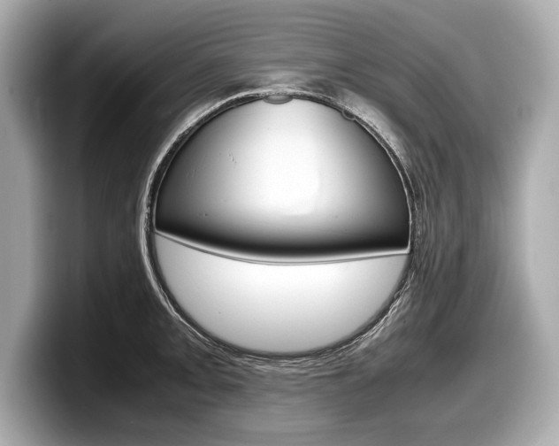 X0000099231093200804241224