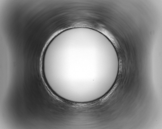 X0000099231094200804241224