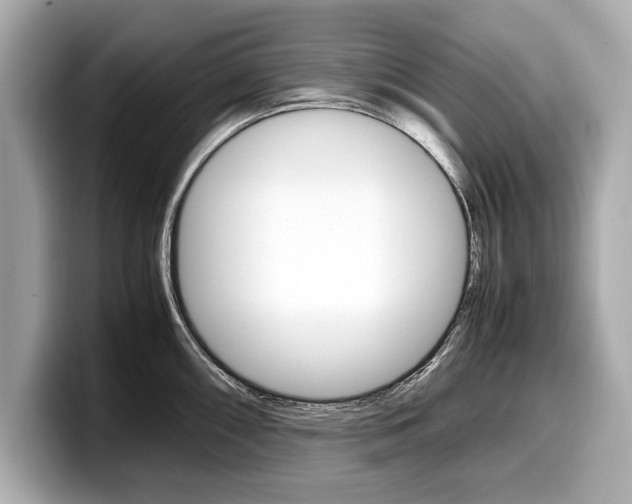X0000099231098200804241224