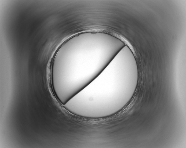 X0000099231099200804241224