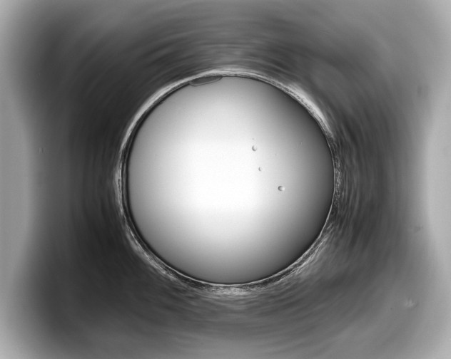 X0000099231100200804241224
