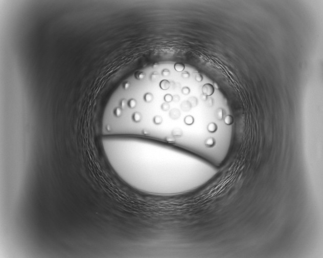 X0000099231105200804241223