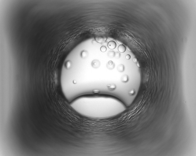 X0000099231106200804241223
