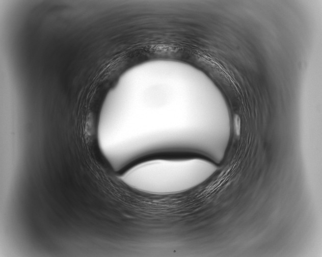 X0000099231107200804241223
