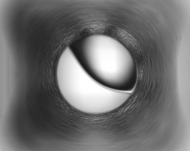 X0000099231108200804241223