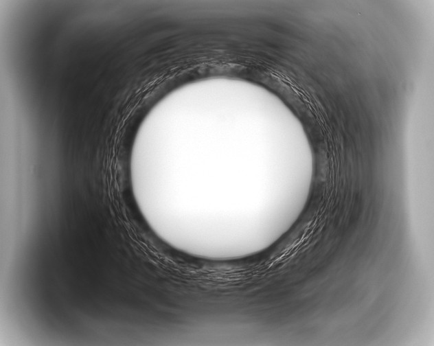 X0000099231109200804241223
