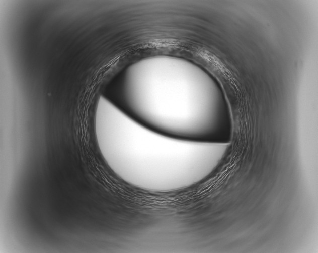 X0000099231110200804241223