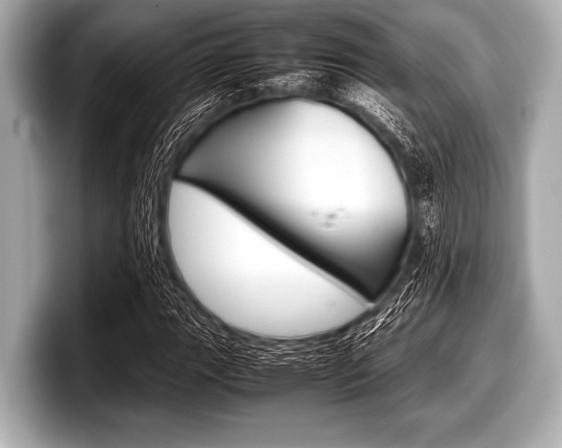 X0000099231111200804241223