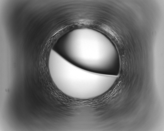 X0000099231112200804241223