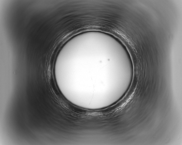 X0000099231113200804241223