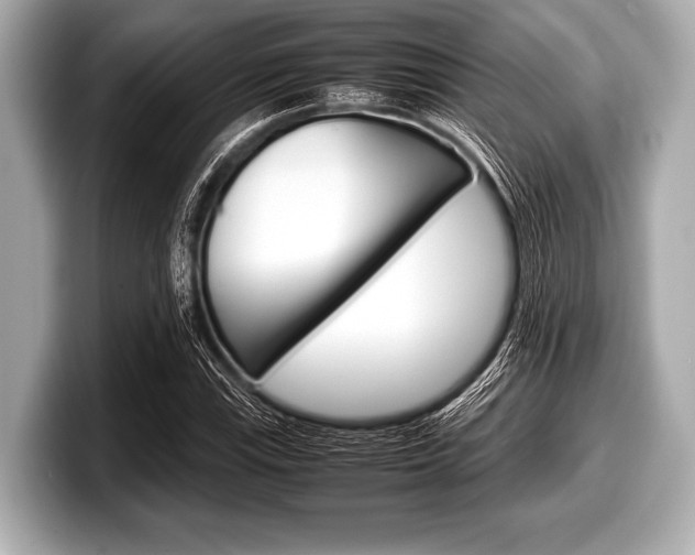 X0000099231115200804241223