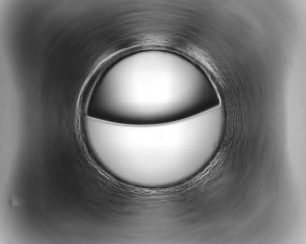 X0000099231116200804241223