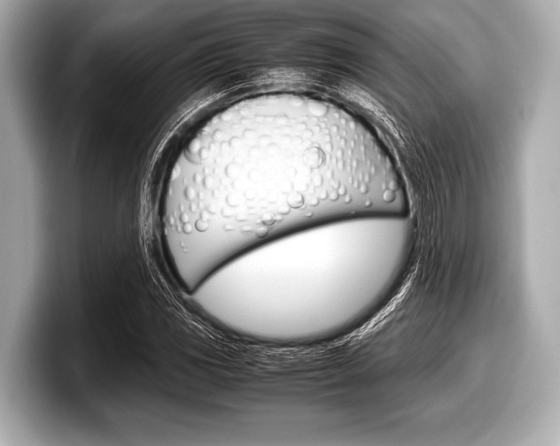 X0000099231117200804241223