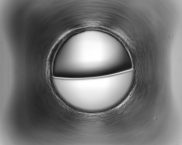 X0000099231118200804241223