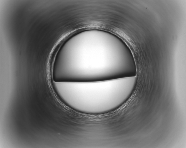 X0000099231120200804241223