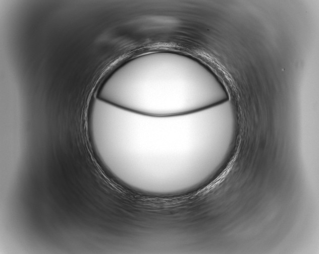 X0000099231121200804241223
