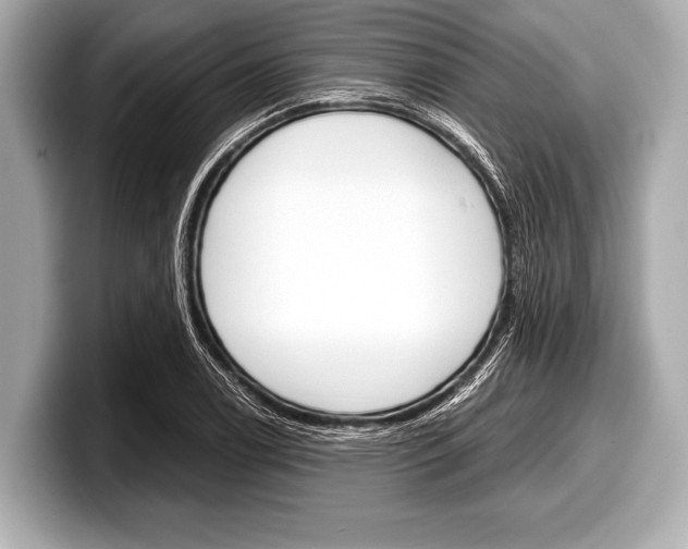 X0000099231122200804241223