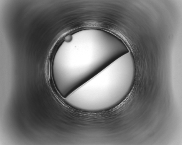 X0000099231123200804241223