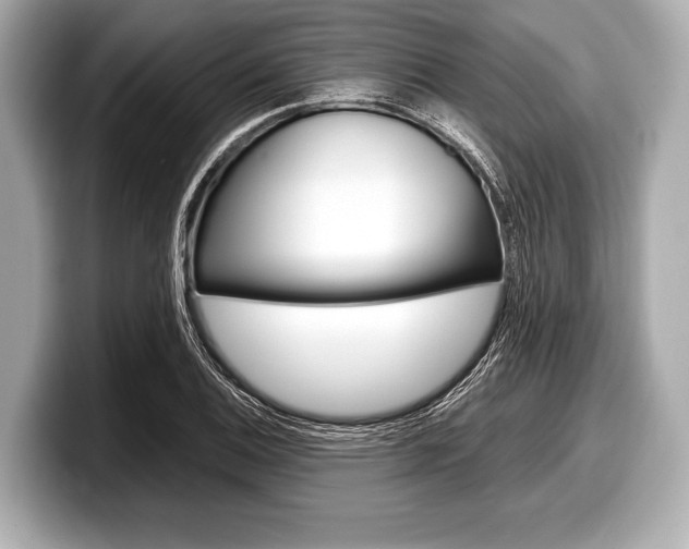 X0000099231124200804241223