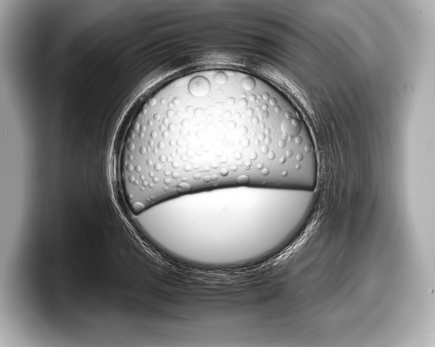 X0000099231125200804241223